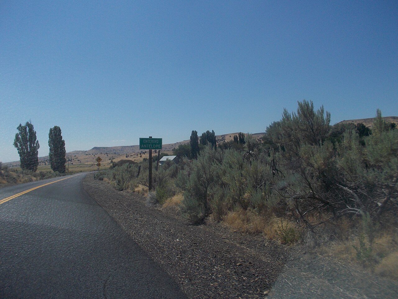 Antelope