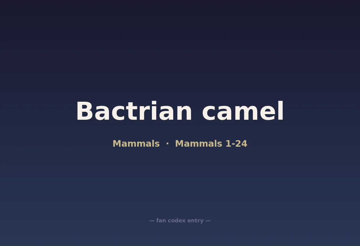 Bactrian camel