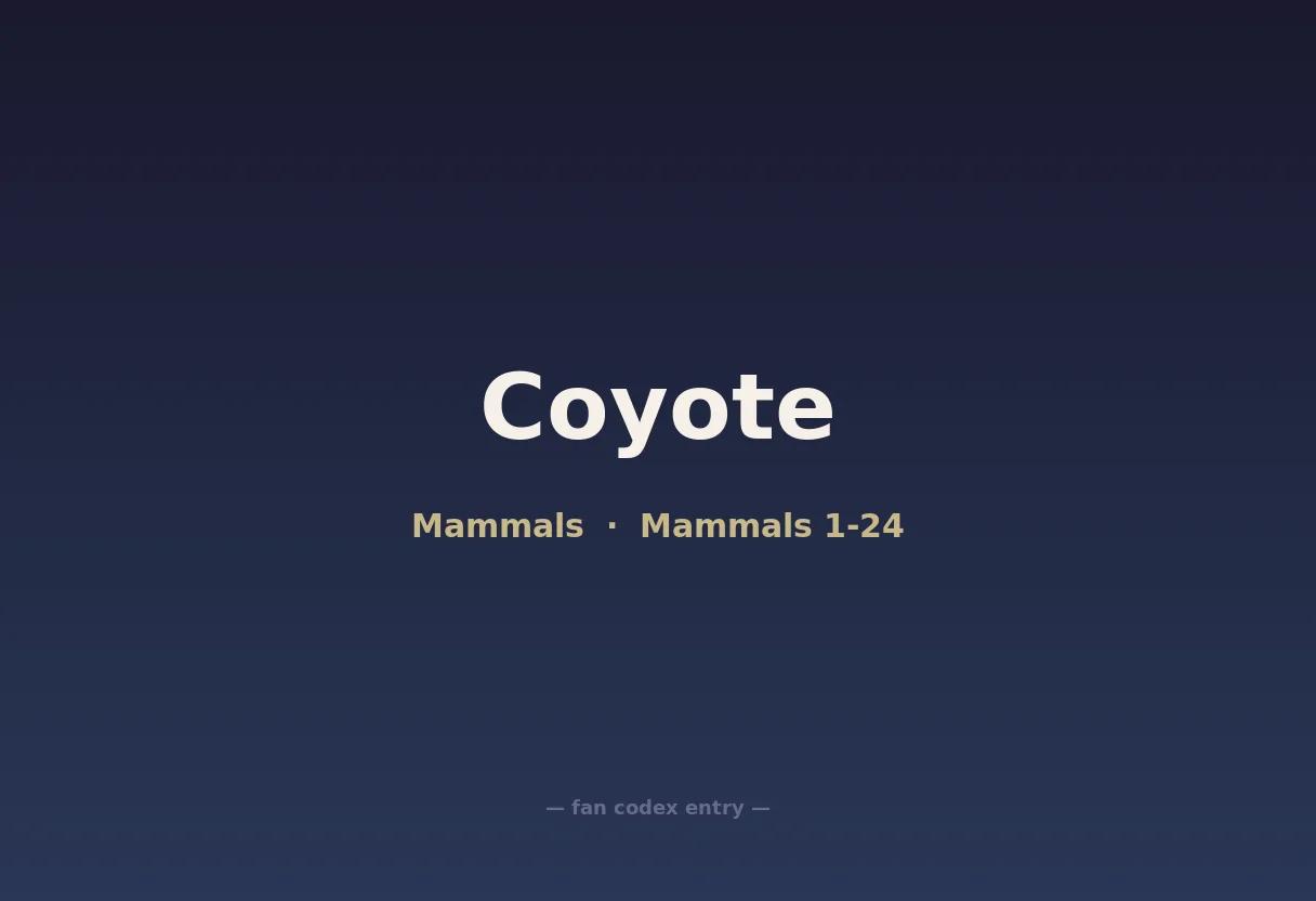 Coyote