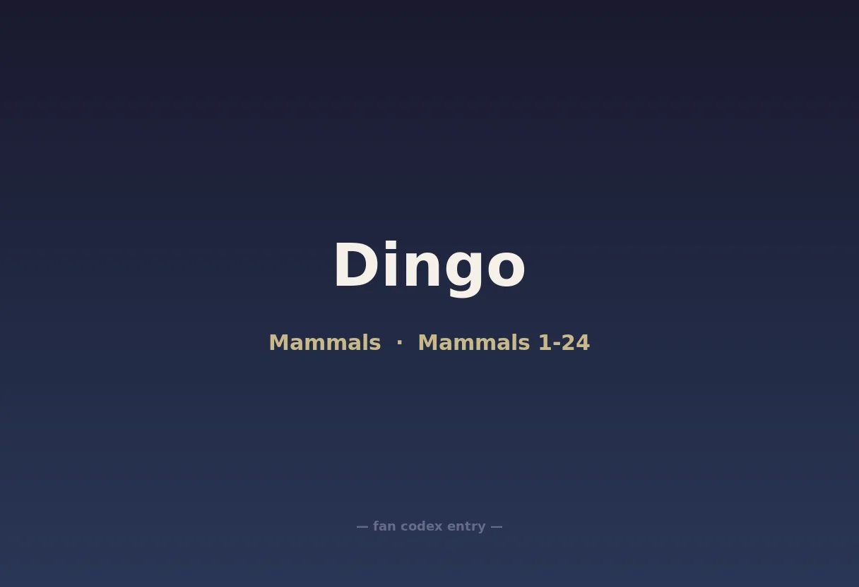 Dingo