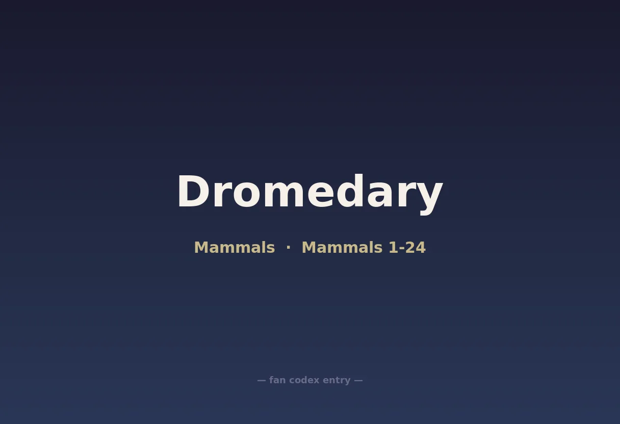 Dromedary