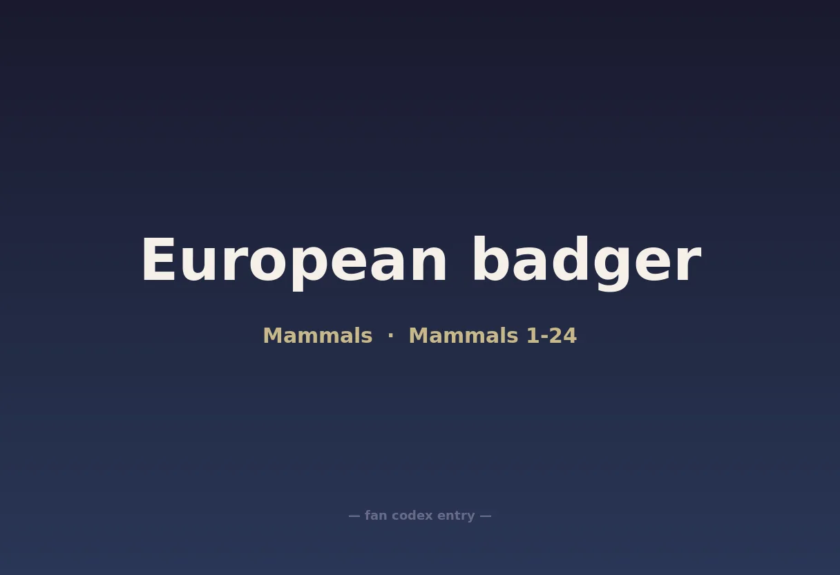 European badger