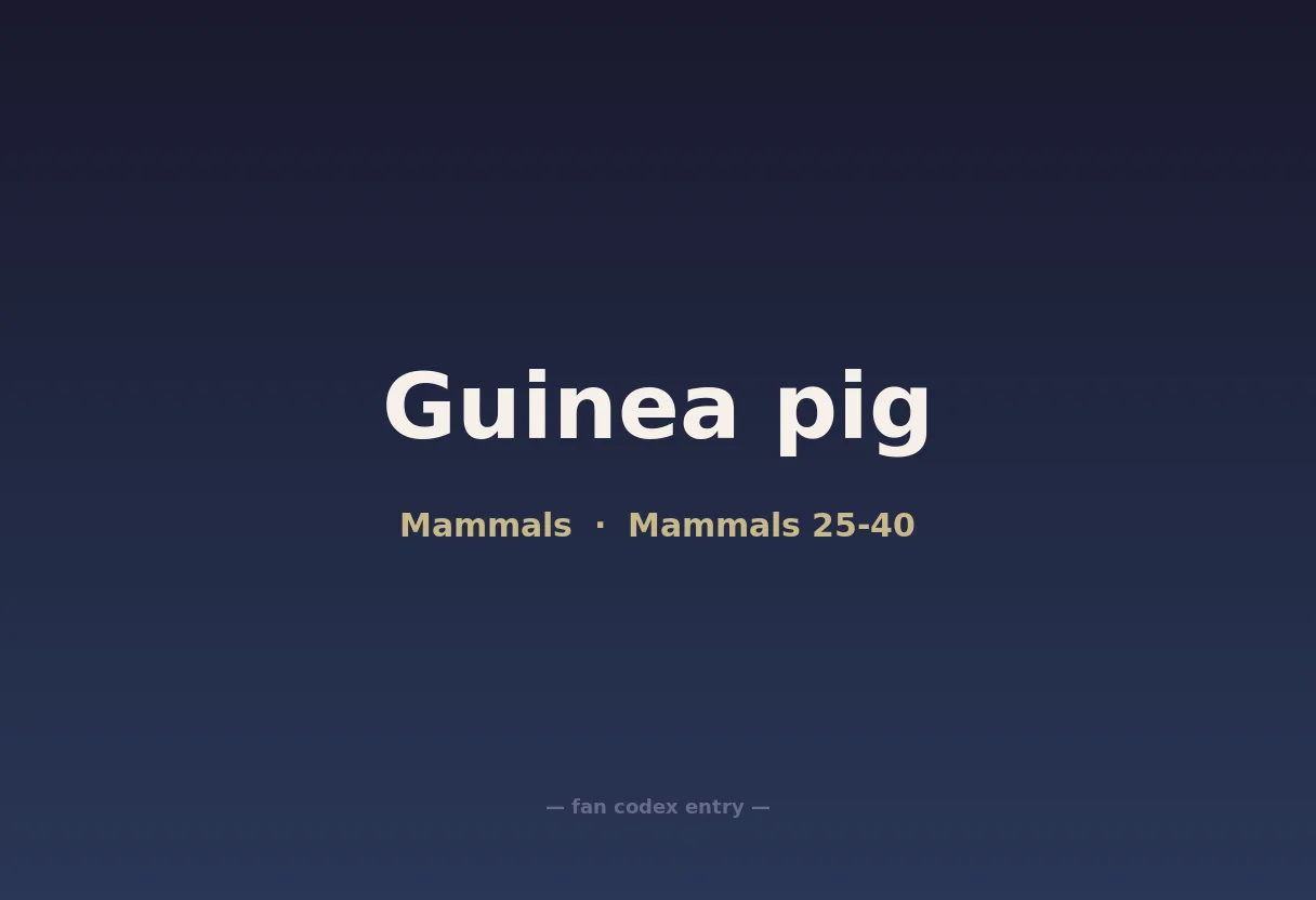 Guinea pig