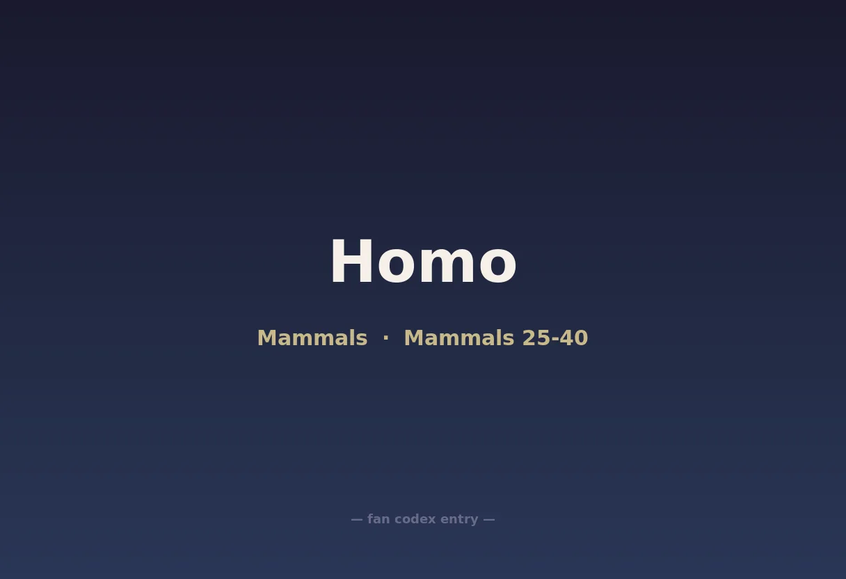 Homo