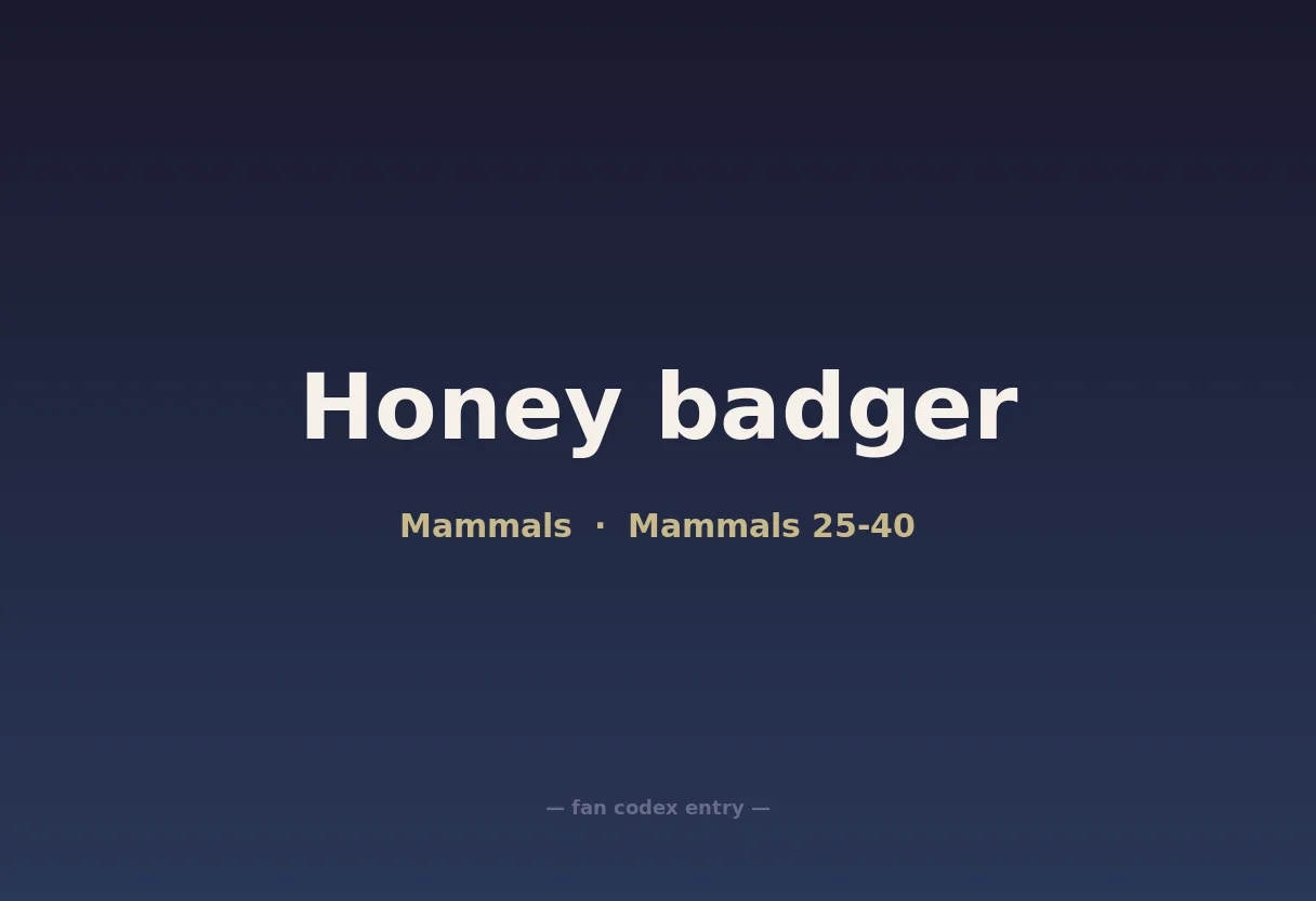 Honey badger