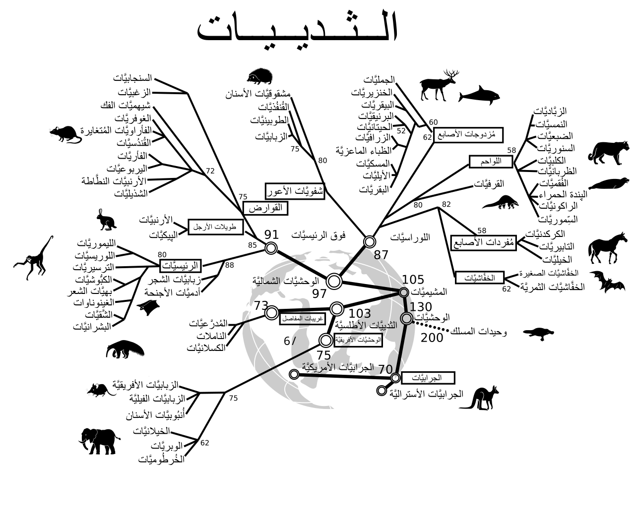 Mammal